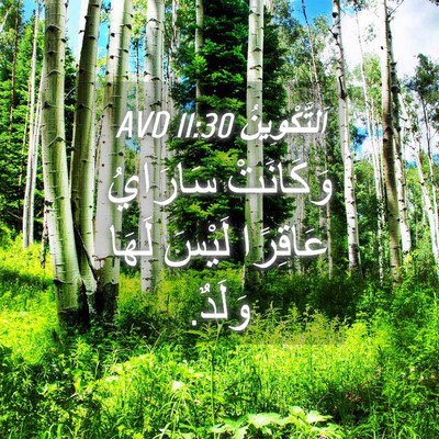 Picture 04 - اَلتَّكْوِينُ 11:30 AVD - وَكَانَتْ سَارَايُ - Bible Verse Picture