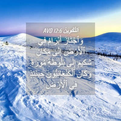 Picture 04 - اَلتَّكْوِينُ 12:6 AVD - وَٱجْتَازَ أَبْرَامُ فِي - Bible Verse Picture