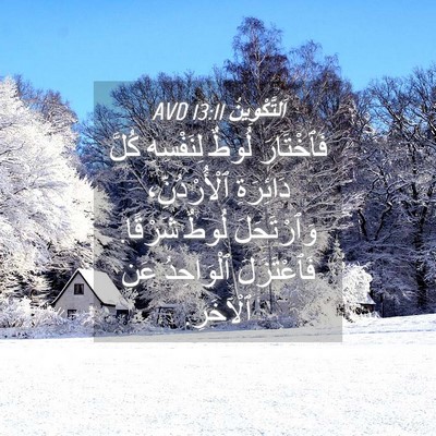 Picture 04 - اَلتَّكْوِينُ 13:11 AVD - فَٱخْتَارَ لُوطٌ - Bible Verse Picture