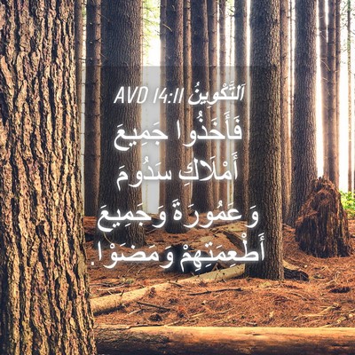 Picture 04 - اَلتَّكْوِينُ 14:11 AVD - فَأَخَذُوا جَمِيعَ - Bible Verse Picture