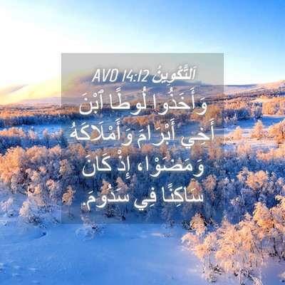Picture 04 - اَلتَّكْوِينُ 14:12 AVD - وَأَخَذُوا لُوطًا ٱبْنَ - Bible Verse Picture