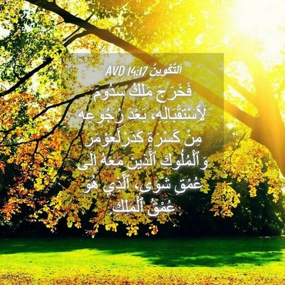 Picture 04 - اَلتَّكْوِينُ 14:17 AVD - فَخَرَجَ مَلِكُ سَدُومَ - Bible Verse Picture