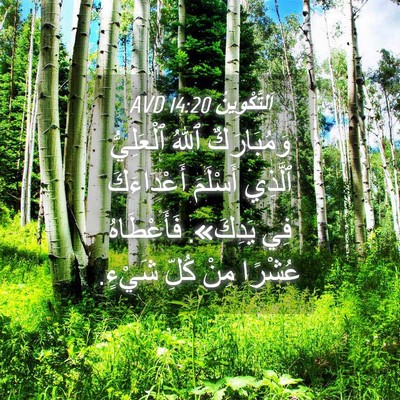 Picture 04 - اَلتَّكْوِينُ 14:20 AVD - وَمُبَارَكٌ ٱللهُ - Bible Verse Picture
