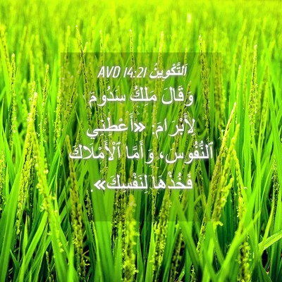 Picture 04 - اَلتَّكْوِينُ 14:21 AVD - وَقَالَ مَلِكُ سَدُومَ - Bible Verse Picture