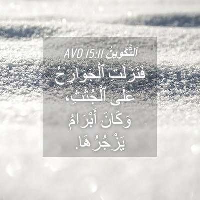 Picture 04 - اَلتَّكْوِينُ 15:11 AVD - فَنَزَلَتِ ٱلْجَوَارِحُ - Bible Verse Picture