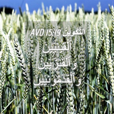 Picture 04 - اَلتَّكْوِينُ 15:19 AVD - ٱلْقِينِيِّينَ - Bible Verse Picture