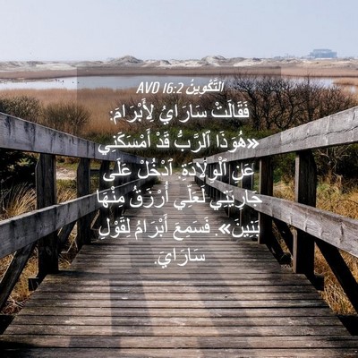 Picture 04 - اَلتَّكْوِينُ 16:2 AVD - فَقَالَتْ سَارَايُ - Bible Verse Picture