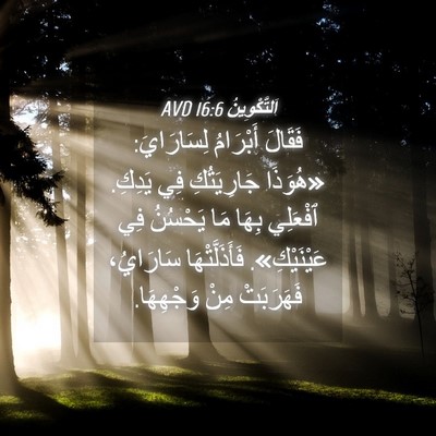 Picture 04 - اَلتَّكْوِينُ 16:6 AVD - فَقَالَ أَبْرَامُ - Bible Verse Picture