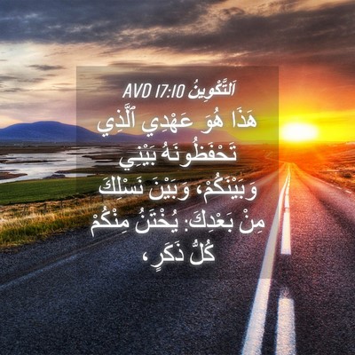 Picture 04 - اَلتَّكْوِينُ 17:10 AVD - هَذَا هُوَ عَهْدِي ٱلَّذِي - Bible Verse Picture
