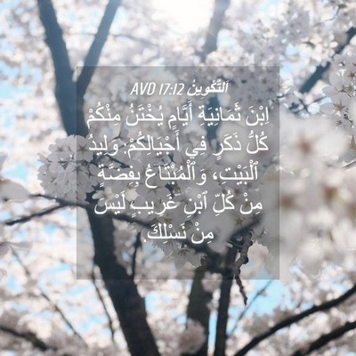 Picture 04 - اَلتَّكْوِينُ 17:12 AVD - اِبْنَ ثَمَانِيَةِ - Bible Verse Picture
