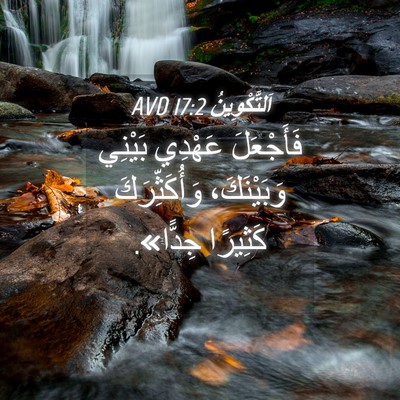 Picture 04 - اَلتَّكْوِينُ 17:2 AVD - فَأَجْعَلَ عَهْدِي - Bible Verse Picture