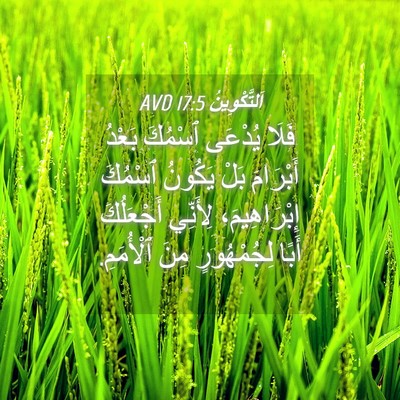 Picture 04 - اَلتَّكْوِينُ 17:5 AVD - فَلَا يُدْعَى ٱسْمُكَ - Bible Verse Picture