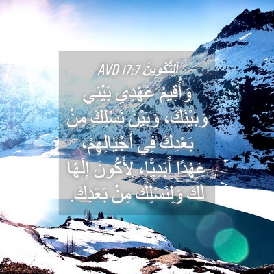 Picture 04 - اَلتَّكْوِينُ 17:7 AVD - وَأُقِيمُ عَهْدِي بَيْنِي - Bible Verse Picture