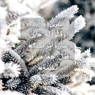 Picture 04 - اَلتَّكْوِينُ 18:9 AVD - وَقَالُوا لَهُ: «أَيْنَ - Bible Verse Picture