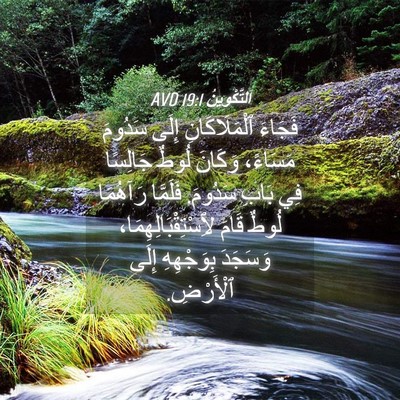 Picture 04 - اَلتَّكْوِينُ 19:1 AVD - فَجَاءَ ٱلْمَلَاكَانِ - Bible Verse Picture