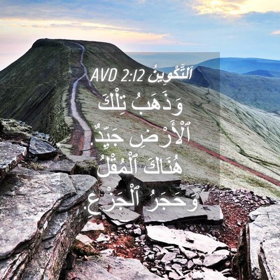 Picture 04 - اَلتَّكْوِينُ 2:12 AVD - وَذَهَبُ تِلْكَ ٱلْأَرْضِ - Bible Verse Picture