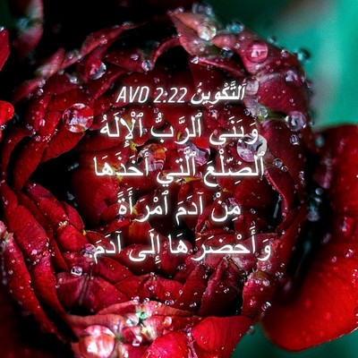Picture 04 - اَلتَّكْوِينُ 2:22 AVD - وَبَنَى ٱلرَّبُّ - Bible Verse Picture