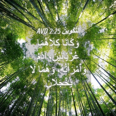 Picture 04 - اَلتَّكْوِينُ 2:25 AVD - وَكَانَا كِلَاهُمَا - Bible Verse Picture