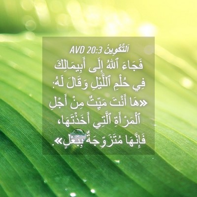 Picture 04 - اَلتَّكْوِينُ 20:3 AVD - فَجَاءَ ٱللهُ إِلَى - Bible Verse Picture