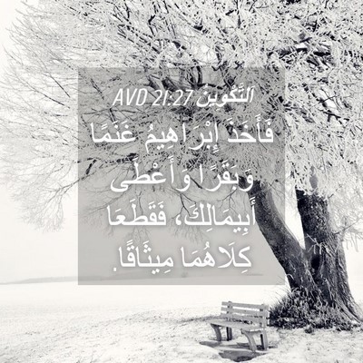 Picture 04 - اَلتَّكْوِينُ 21:27 AVD - فَأَخَذَ إِبْرَاهِيمُ - Bible Verse Picture