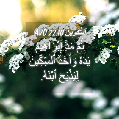 Picture 04 - اَلتَّكْوِينُ 22:10 AVD - ثُمَّ مَدَّ إِبْرَاهِيمُ - Bible Verse Picture