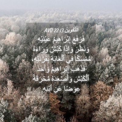 Picture 04 - اَلتَّكْوِينُ 22:13 AVD - فَرَفَعَ إِبْرَاهِيمُ - Bible Verse Picture