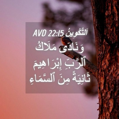 Picture 04 - اَلتَّكْوِينُ 22:15 AVD - وَنَادَى مَلَاكُ ٱلرَّبِّ - Bible Verse Picture