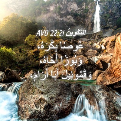 Picture 04 - اَلتَّكْوِينُ 22:21 AVD - عُوصًا بِكْرَهُ، وَبُوزًا - Bible Verse Picture