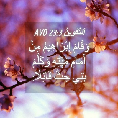 Picture 04 - اَلتَّكْوِينُ 23:3 AVD - وَقَامَ إِبْرَاهِيمُ مِنْ - Bible Verse Picture