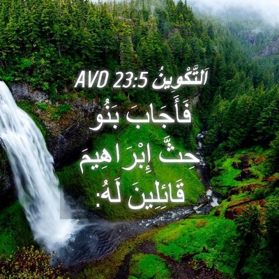 Picture 04 - اَلتَّكْوِينُ 23:5 AVD - فَأَجَابَ بَنُو حِثَّ - Bible Verse Picture