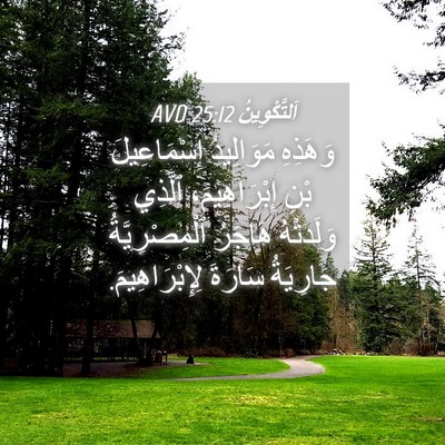 Picture 04 - اَلتَّكْوِينُ 25:12 AVD - وَهَذِهِ مَوَالِيدُ - Bible Verse Picture