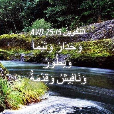 Picture 04 - اَلتَّكْوِينُ 25:15 AVD - وَحَدَارُ وَتَيْمَا - Bible Verse Picture