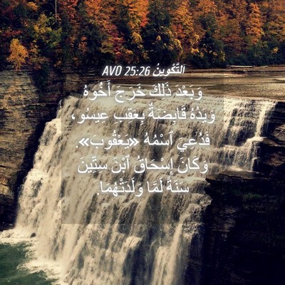 Picture 04 - اَلتَّكْوِينُ 25:26 AVD - وَبَعْدَ ذَلِكَ خَرَجَ - Bible Verse Picture