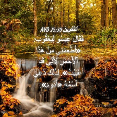Picture 04 - اَلتَّكْوِينُ 25:30 AVD - فَقَالَ عِيسُو - Bible Verse Picture