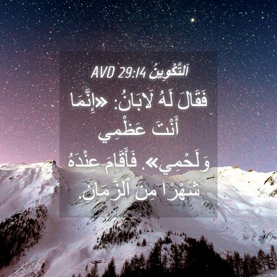 Picture 04 - اَلتَّكْوِينُ 29:14 AVD - فَقَالَ لَهُ لَابَانُ: - Bible Verse Picture
