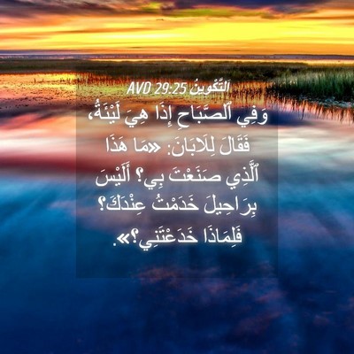 Picture 04 - اَلتَّكْوِينُ 29:25 AVD - وَفِي ٱلصَّبَاحِ إِذَا - Bible Verse Picture