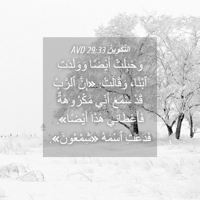 Picture 04 - اَلتَّكْوِينُ 29:33 AVD - وَحَبِلَتْ أَيْضًا - Bible Verse Picture