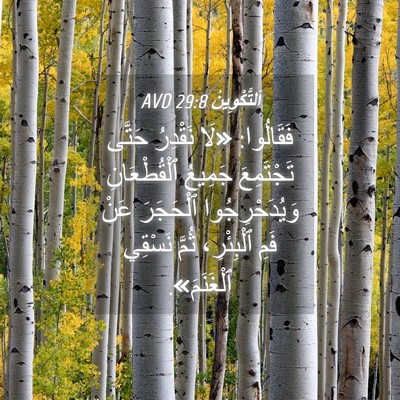 Picture 04 - اَلتَّكْوِينُ 29:8 AVD - فَقَالُوا: «لَا نَقْدِرُ - Bible Verse Picture