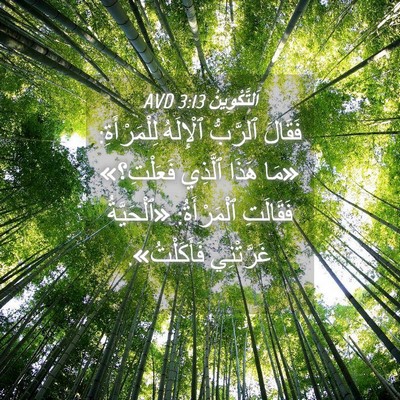 Picture 04 - اَلتَّكْوِينُ 3:13 AVD - فَقَالَ ٱلرَّبُّ - Bible Verse Picture