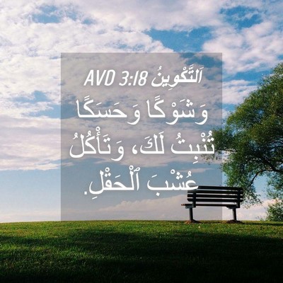 Picture 04 - اَلتَّكْوِينُ 3:18 AVD - وَشَوْكًا وَحَسَكًا - Bible Verse Picture