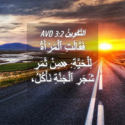 Picture 04 - اَلتَّكْوِينُ 3:2 AVD - فَقَالَتِ ٱلْمَرْأَةُ - Bible Verse Picture