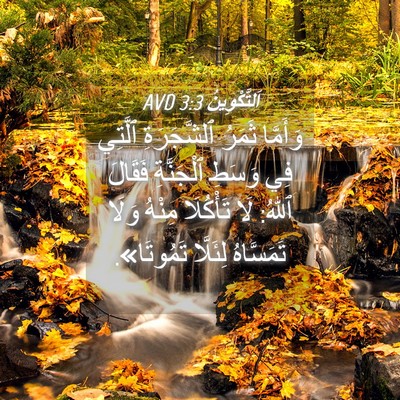 Picture 04 - اَلتَّكْوِينُ 3:3 AVD - وَأَمَّا ثَمَرُ - Bible Verse Picture