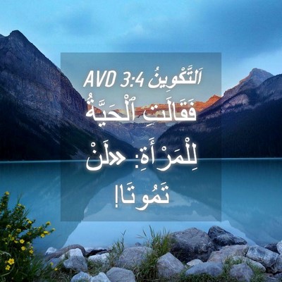 Picture 04 - اَلتَّكْوِينُ 3:4 AVD - فَقَالَتِ ٱلْحَيَّةُ - Bible Verse Picture