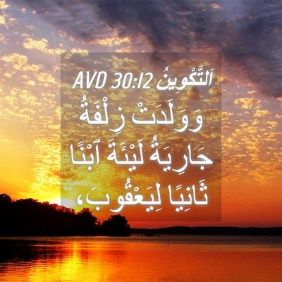 Picture 04 - اَلتَّكْوِينُ 30:12 AVD - وَوَلَدَتْ زِلْفَةُ - Bible Verse Picture