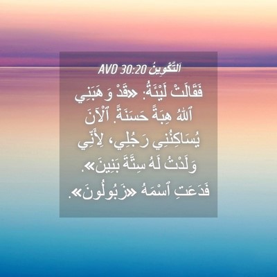 Picture 04 - اَلتَّكْوِينُ 30:20 AVD - فَقَالَتْ لَيْئَةُ: «قَدْ - Bible Verse Picture