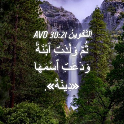 Picture 04 - اَلتَّكْوِينُ 30:21 AVD - ثُمَّ وَلَدَتِ ٱبْنَةً - Bible Verse Picture