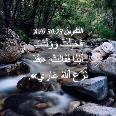 Picture 04 - اَلتَّكْوِينُ 30:23 AVD - فَحَبِلَتْ وَوَلَدَتِ - Bible Verse Picture