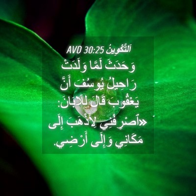 Picture 04 - اَلتَّكْوِينُ 30:25 AVD - وَحَدَثَ لَمَّا وَلَدَتْ - Bible Verse Picture