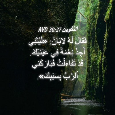 Picture 04 - اَلتَّكْوِينُ 30:27 AVD - فَقَالَ لَهُ لَابَانُ: - Bible Verse Picture