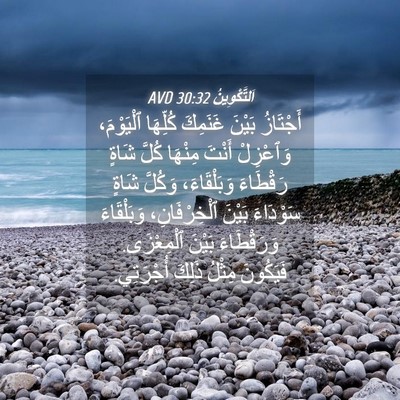 Picture 04 - اَلتَّكْوِينُ 30:32 AVD - أَجْتَازُ بَيْنَ غَنَمِكَ - Bible Verse Picture